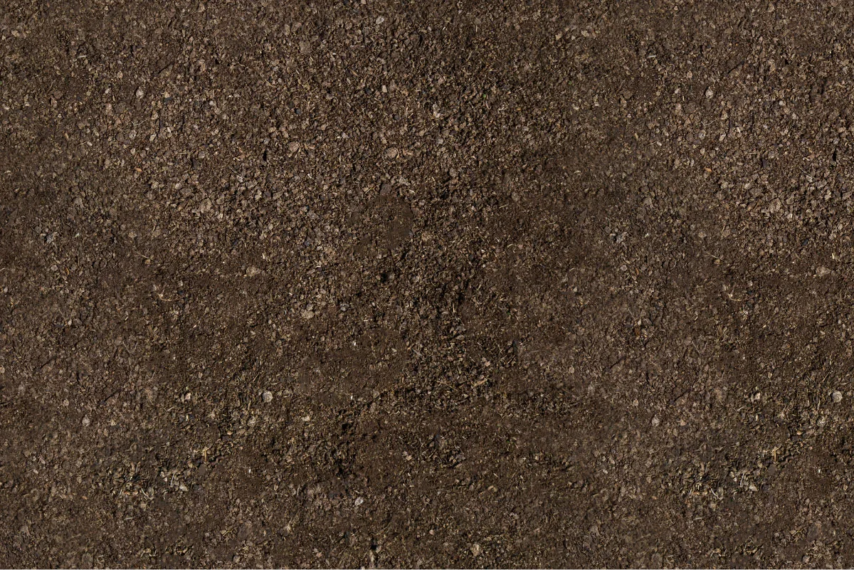 closeup of brown soil
