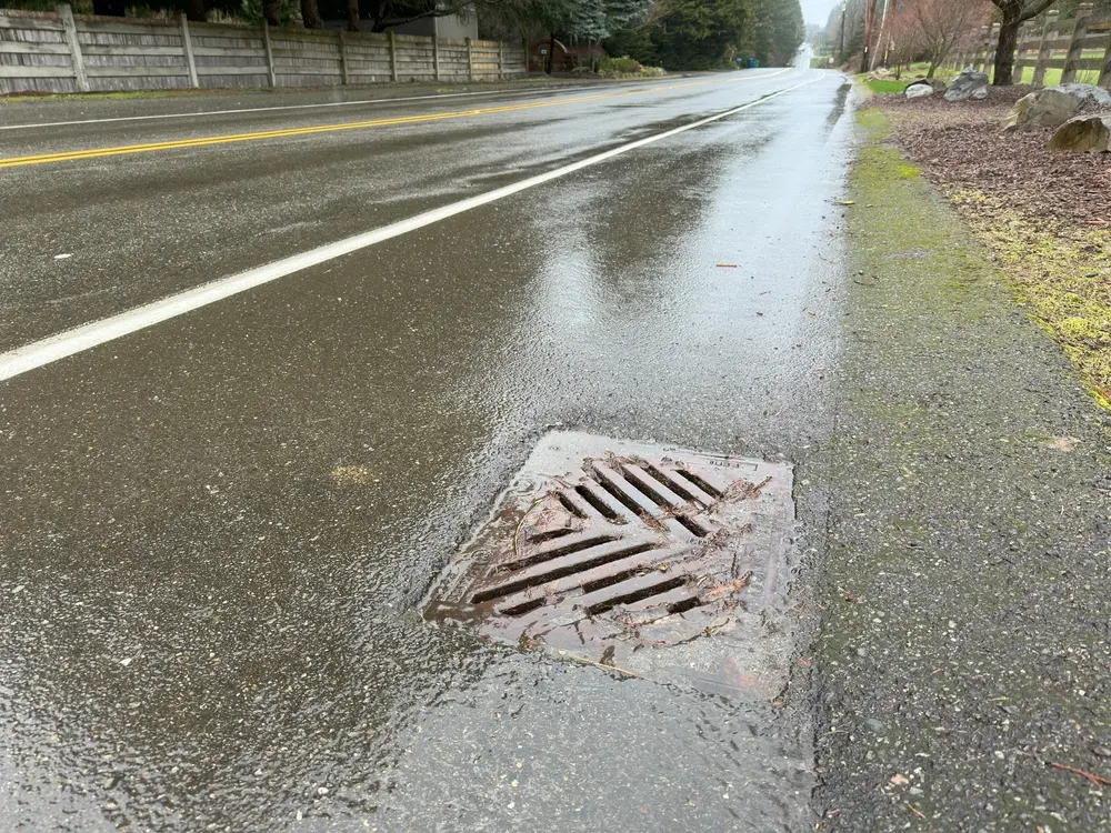 Storm Drains & Catch Basins: A Guide to Pavement Drainage