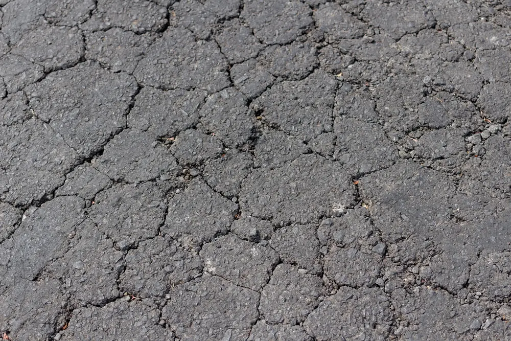 alligator cracking on asphalt